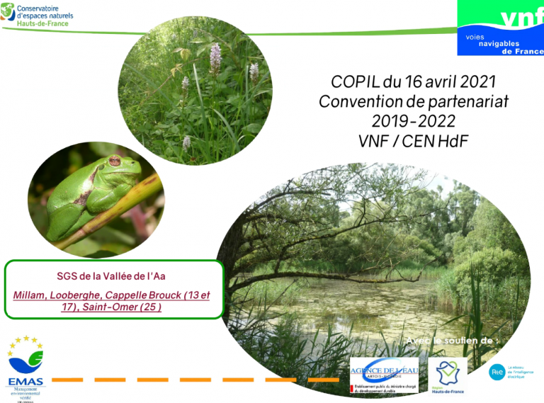 2021-04-16 15_46_22-CEN - Comité de suivi - Rendez-vous