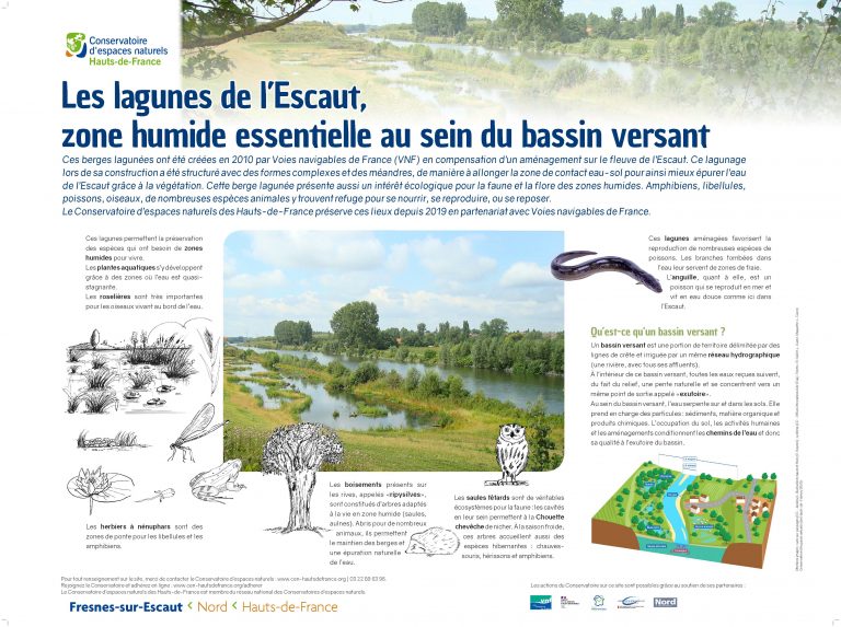 Table_lecture_Lagunes_Fresnes-sur-Escaut_v5