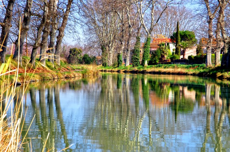 Patrick-Bosdeveix-2019-02-27-Colombiers-Reflets d'hiver