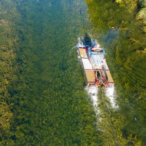 Région Sud-Est : lutter contre les plantes invasives du canal du Rhône à Sète pour préserver la biodiversité de zones humides uniques sur le territoire. 
